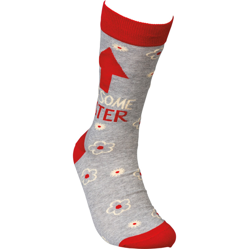 Awesome Sister Socks  (Pack of 4)