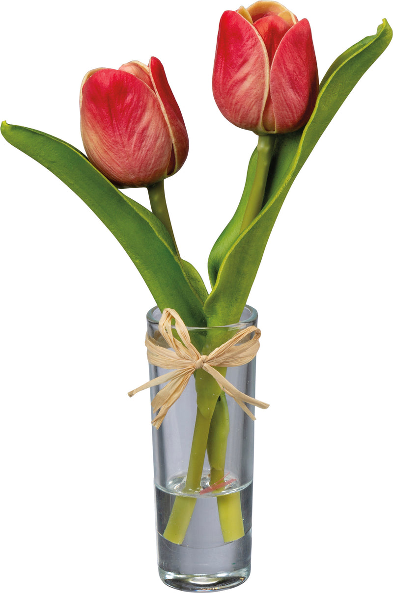 Vase - Red Mini Tulip