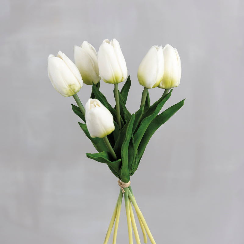Bouquet - Cream Tulips