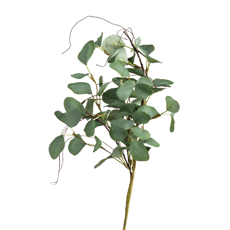 Pick - Eucalyptus