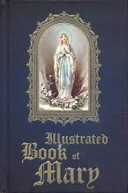 Illustrated Book of Mary - (Hardcover)