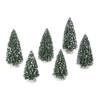 Frosted Pine Grove, Set of 6