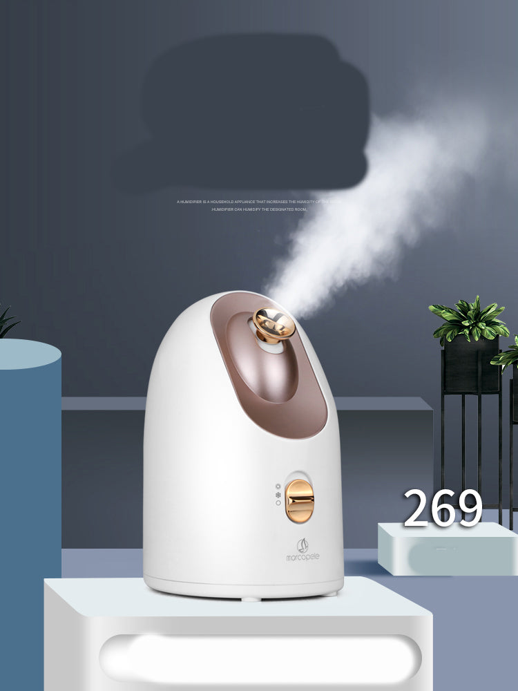 Hot and cold face steamer