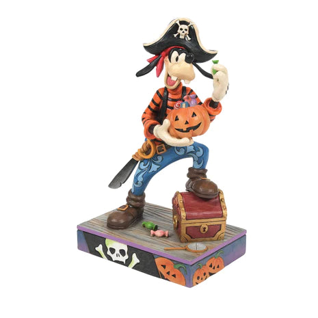 Goofy Pirate Costume