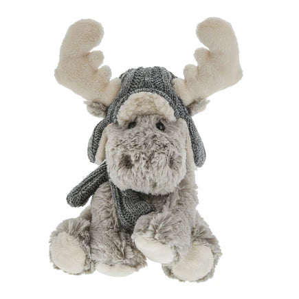 Moose with Gray Hat