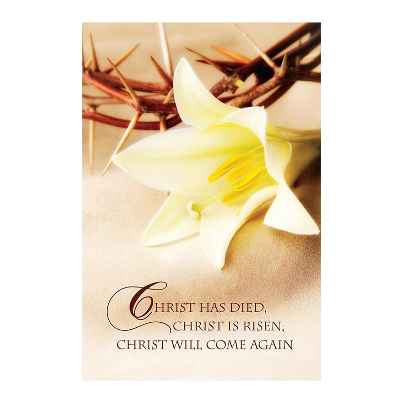 Note Card - Easter Lily & Crown of Thorn
