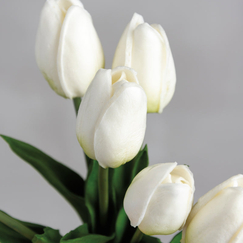 Bouquet - Cream Tulips