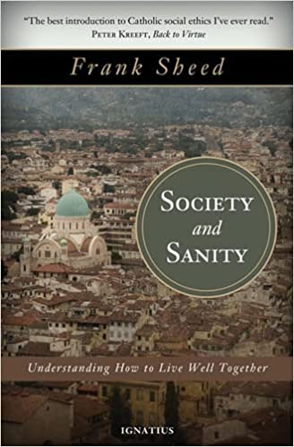 Society and Sanity: Understanding How to Live Well Together (Paperback)