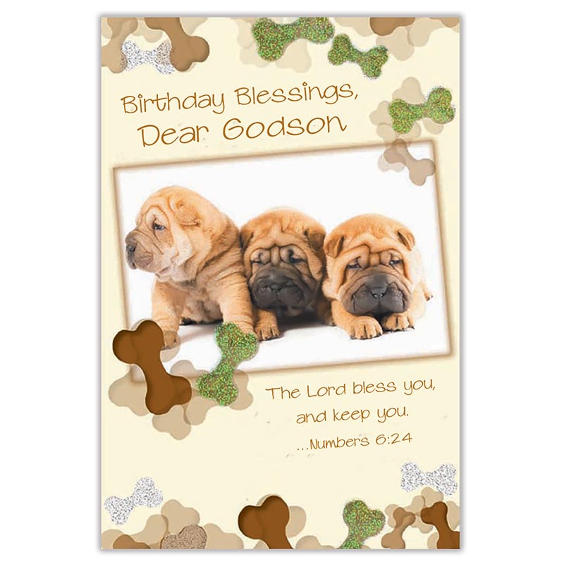 Birthday Card for Godson