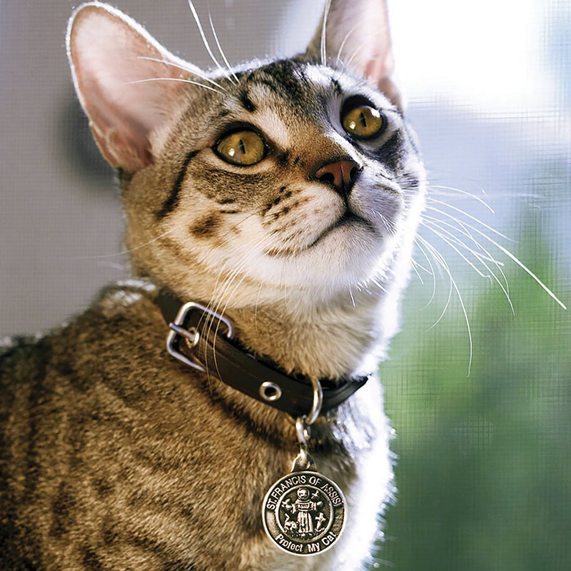 Cat Pet Medal Refills