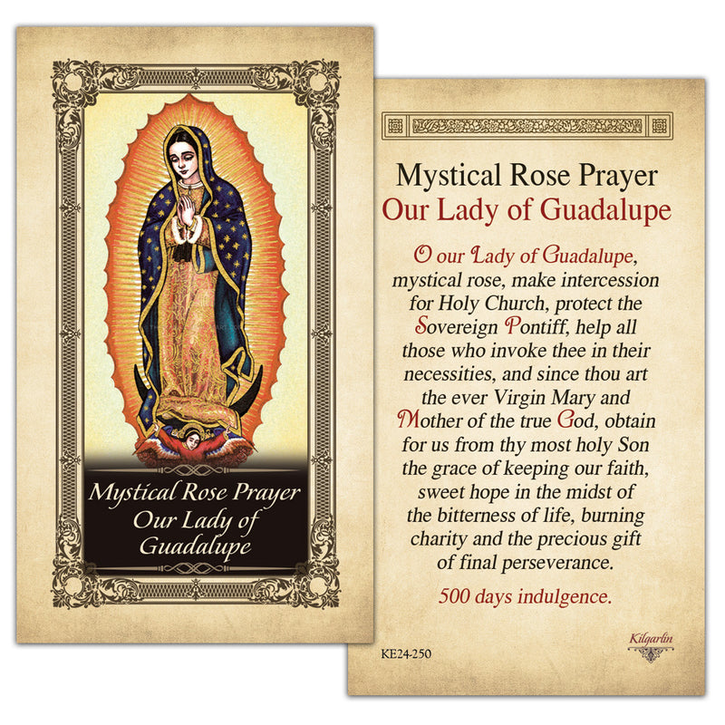 Mystical Rose Prayer Our Lady of Guadalupe Kilgarlin Laminated Prayer Card