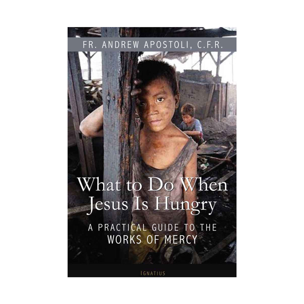 What to Do When Jesus Is Hungry: A Practical Guide to the Works of Mercy (Paperbook)